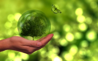 La transition écologique et énergétique des entreprises – TPE et PME