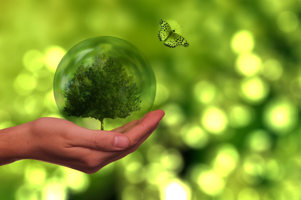 transition écologique et énergétique des entreprises - Action Booster